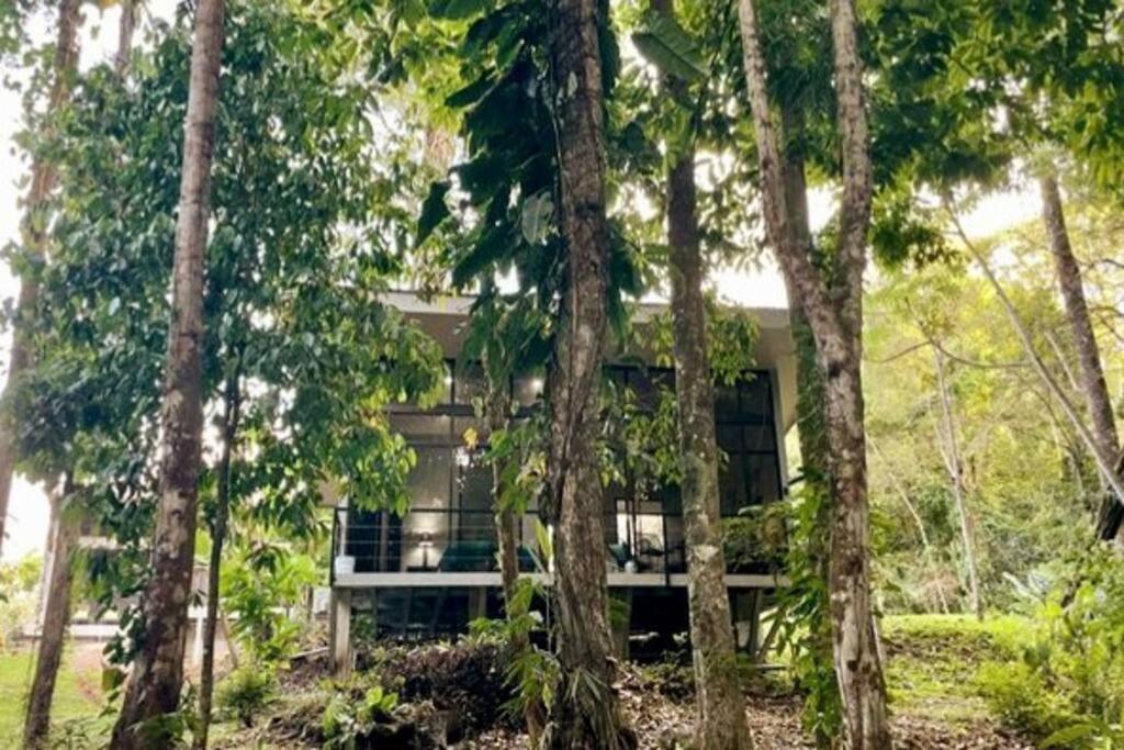 מנואל אנטוניו An Abundance Of Wildlife At Jungle Glory Home Abajo מראה חיצוני תמונה