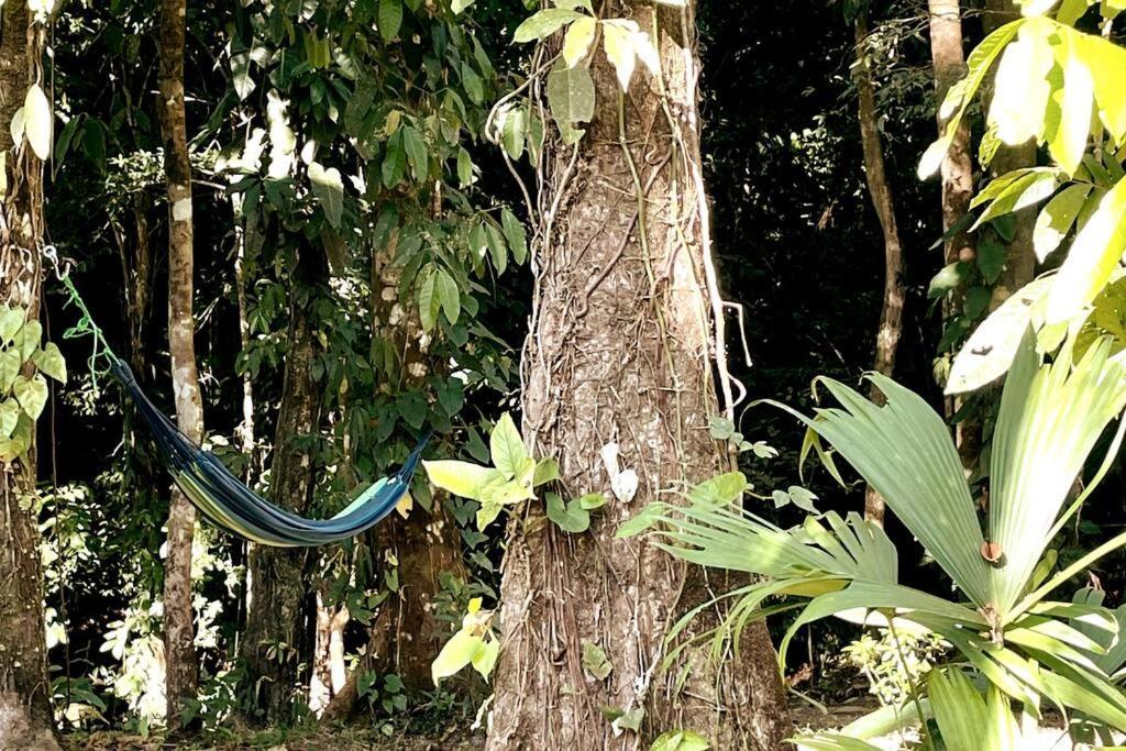מנואל אנטוניו An Abundance Of Wildlife At Jungle Glory Home Abajo מראה חיצוני תמונה