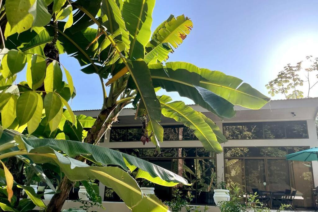 מנואל אנטוניו An Abundance Of Wildlife At Jungle Glory Home Abajo מראה חיצוני תמונה